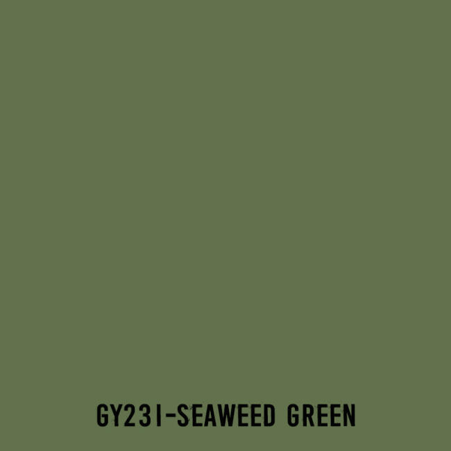 Touchliit Çift Taraflı Marker Kalem Seaweed Green GY231 - 2