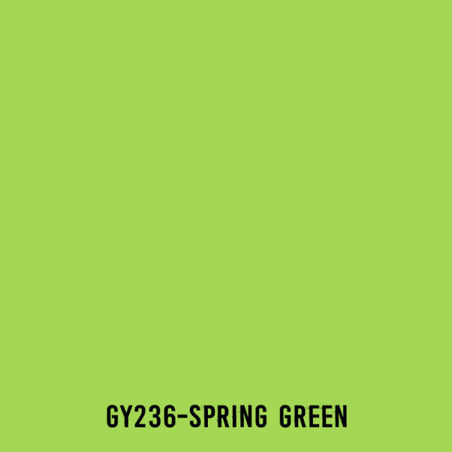 Touchliit Çift Taraflı Marker Kalem Spring Green GY236 - 2