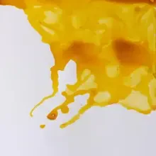 Winsor & Newton Çini Mürekkebi 14 ml Canary Yellow 123 - Winsor & Newton (1)