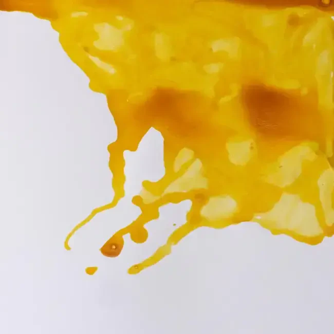 Winsor & Newton Çini Mürekkebi 14 ml Canary Yellow 123 - 2