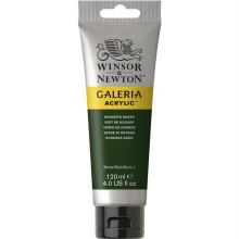 Winsor & Newton Galeria Akrilik Boya 120 ml Hooker’s Green 311 - Winsor & Newton