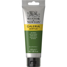 Winsor & Newton Galeria Akrilik Boya 120 ml Sap Green 599 - Winsor & Newton