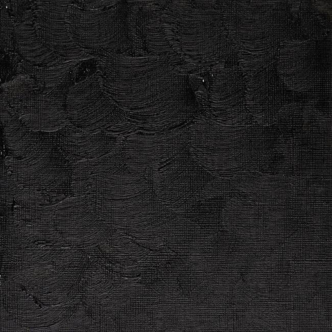 Winsor & Newton Winton Yağlı Boya 37 ml Ivory Black 331 - 2