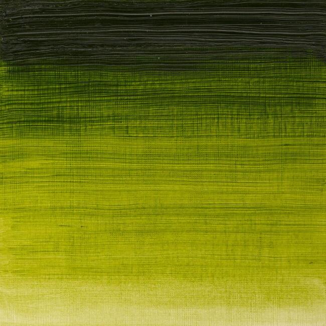 Winsor & Newton Winton Yağlı Boya 37 ml Sap Green 599 - 2